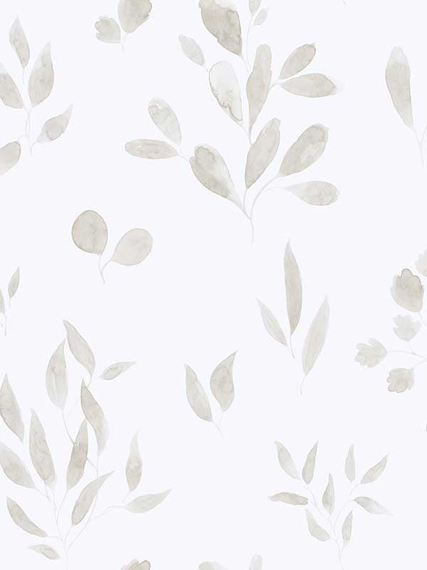 Scalamandre WSB00210242 Belle Sheer Grey Wallpaper