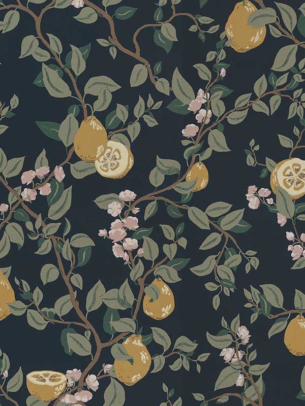 Scalamandre WSB00960432 Kvitten Midnight Blue Wallpaper