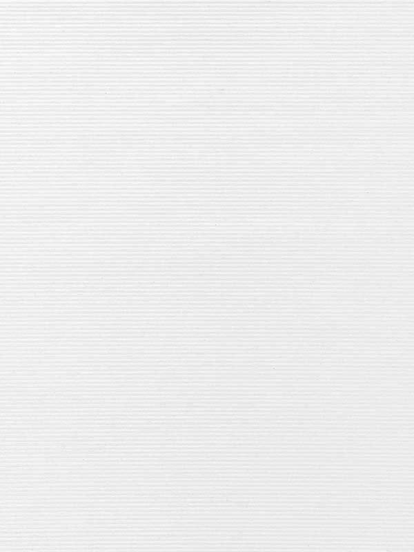 Scalamandre WTT661452 Ventura Ice Wallpaper