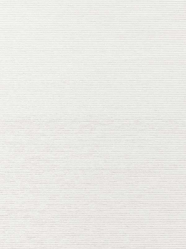 Scalamandre WTT661453 Ventura Oyster Wallpaper