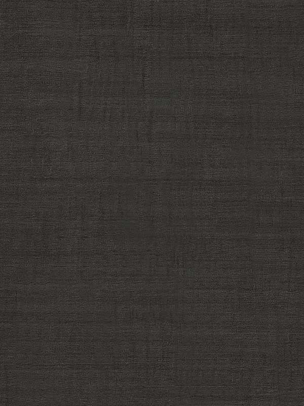 Scalamandre WTT661509 Crafty Deformation Noir Wallpaper