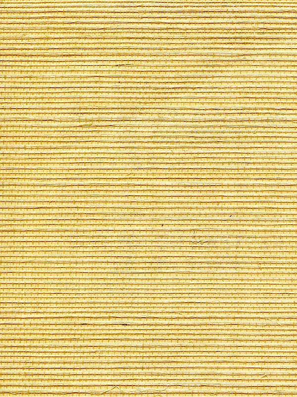 Scalamandre WTWGT3932 Organic Sisal Cornsilk Wallpaper