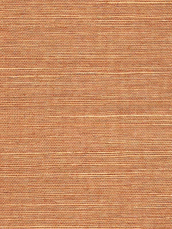 Scalamandre WTWGT3934 Organic Sisal Java Wallpaper