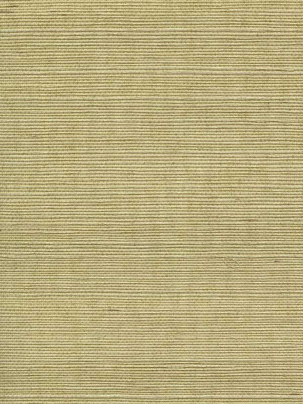 Scalamandre WTWGT3951 Organic Sisal Springtime Wallpaper