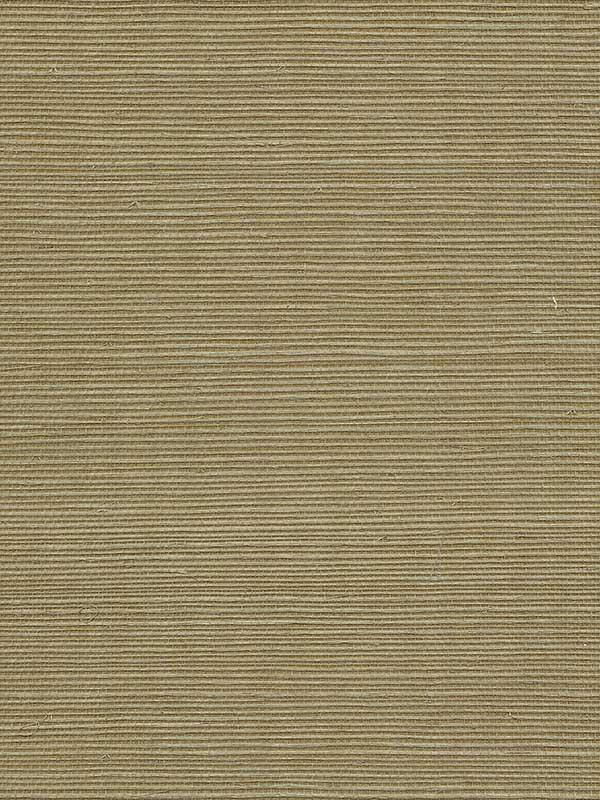 Scalamandre WTWGT3954 Organic Sisal Ferndale Wallpaper
