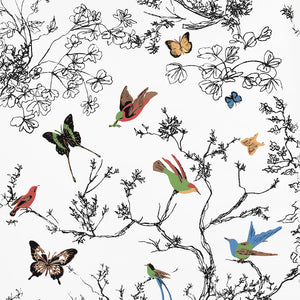 Schumacher - Birds & Butterflies - Multi On White - 2704420 - Wallpaper