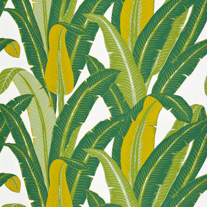 Schumacher - Tropical Isle - Green On White - 2707230 - Wallpaper