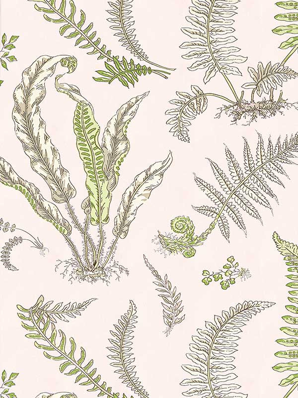 Scalamandre SC0002WP88592D Elsie De Wolfe Ballet Slipper Wallpaper