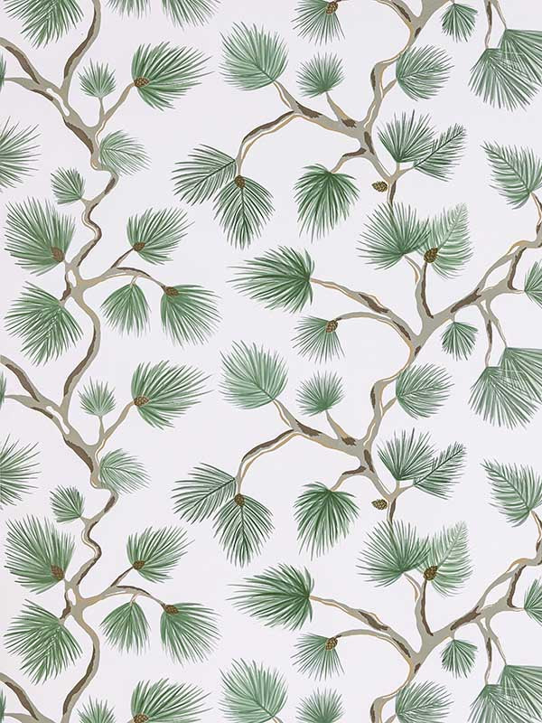 Scalamandre SC0005WP88593D Pignoli Fern Wallpaper