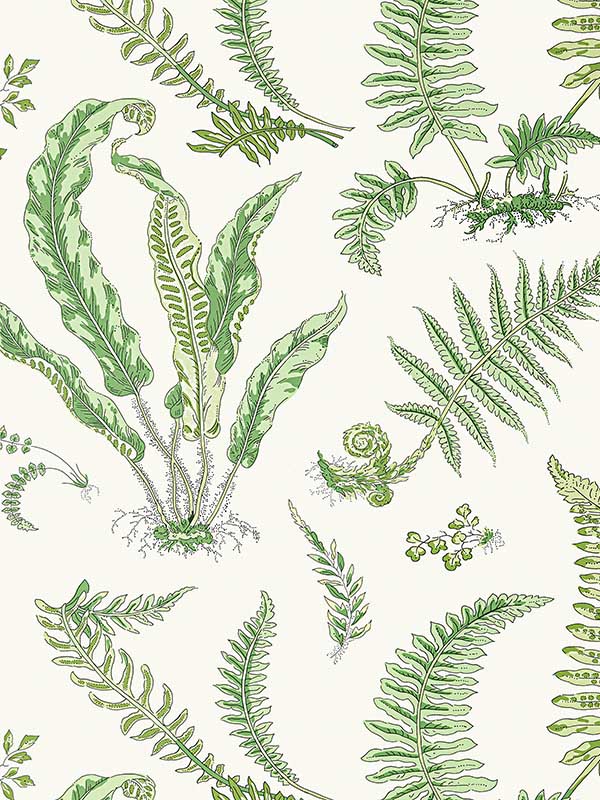 Scalamandre SC0006WP88592D Elsie De Wolfe Fern Wallpaper