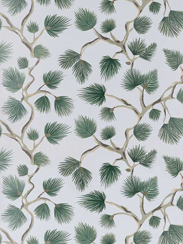 Scalamandre SC0006WP88593D Pignoli Evergreen Wallpaper