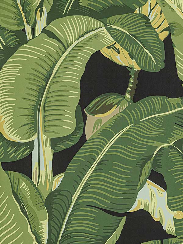 Scalamandre WHN000444000MD Hinson Palm Absinthe Wallpaper