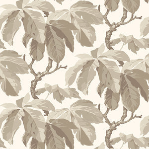 Schumacher - Kastanj - Stone - 4840 - Wallpaper