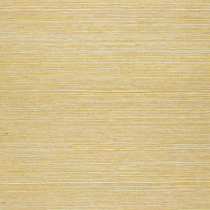 Schumacher - Suwon Sisal - Gold - 5000762 - Wallpaper