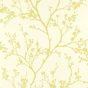 Schumacher - Twiggy - Soft Chartreuse - 5003342 - Wallpaper