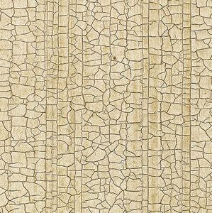 Schumacher - Masaccio Ground - Champagne - 5003761 - Wallpaper