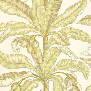 Schumacher - Blair House Palm - Kiwi - 5004062 - Wallpaper