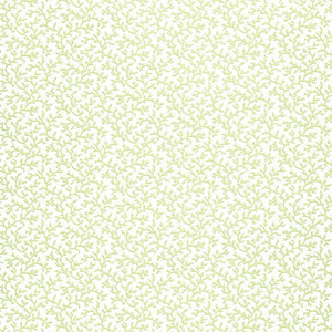 Schumacher - Coral Vine - Aloe - 5004412 - Wallpaper