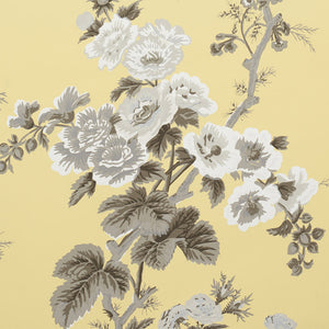 Schumacher - Pyne Hollyhock - Buttercup - 5006925 - Wallpaper