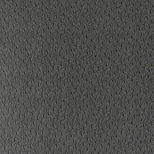Schumacher - Ostrich - Graphite - 5007352 - Wallpaper