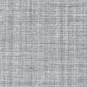 Schumacher - Anodized Raffia - Oxidized Silver - 5007783 - Wallpaper