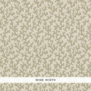Schumacher - Folly - Sage - 5008003 - Wallpaper