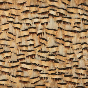 Schumacher - Muscovite - Cracker Khaki - 5008401 - Wallpaper