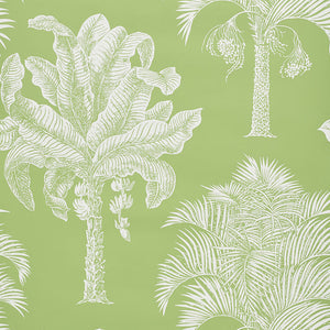 Schumacher - Grand Palms - Leaf - 5009620 - Wallpaper