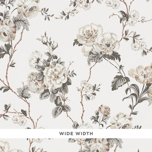 Schumacher - Betty - Charcoal - 5009871 - Wallpaper