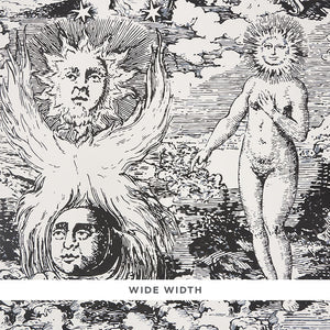 Schumacher - Modern Toile - Black - 5010420 - Wallpaper