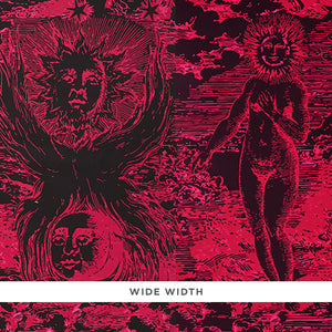 Schumacher - Modern Toile - Pink & Black - 5010423 - Wallpaper