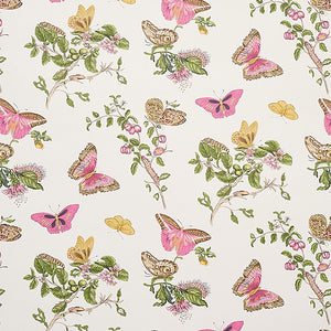 Schumacher - Baudin Butterfly - Blush - 5010690 - Wallpaper