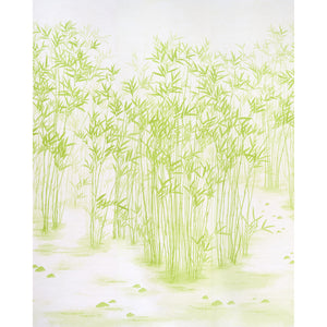 Schumacher - Kanji Panel Set - Green - 5011790 - Wallpaper
