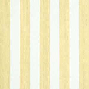 Schumacher - Edwin Stripe Medium - Buttercup - 5011890 - Wallpaper