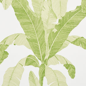 Schumacher - Erisimo - Leaf - 5012110 - Wallpaper
