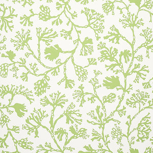 Schumacher - Anthoza - Green - 5012131 - Wallpaper