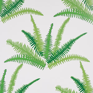 Schumacher - Canyon Ferns - Jungle - 5012621 - Wallpaper