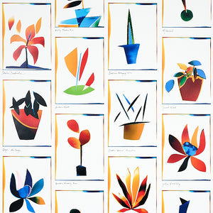 Schumacher - Botanicals - Spectrum Multi - 5012690 - Wallpaper