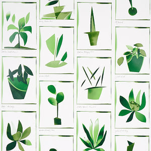 Schumacher - Botanicals - Greenhouse - 5012691 - Wallpaper