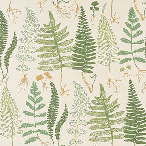 Schumacher - Halcott Sisal - Forest - 5013060 - Wallpaper