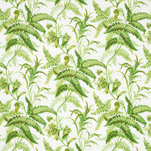 Schumacher - Myers Fern - Tropical - 5013231 - Wallpaper