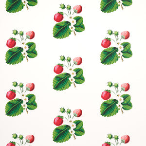 Schumacher - Strawberry Hill - White - 5014320 - Wallpaper