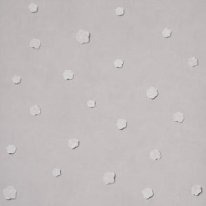 Schumacher - Heavenly Bodies - Gray - 5015270 - Wallpaper