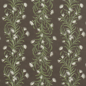 Schumacher - Tasmanian Mimosa - Brown &Green - 5015361 - Wallpaper