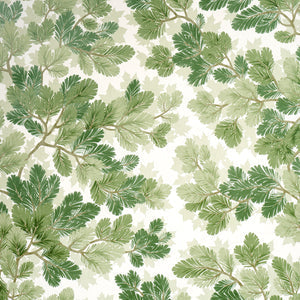 Schumacher - Covey Hedge - Sage - 5016072 - Wallpaper