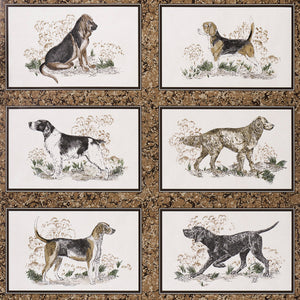 Schumacher - Chaser's Legacy - Bark - 5016081 - Wallpaper