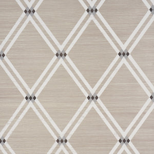 Schumacher - Asolo Sisal - Silver - 5016540 - Wallpaper