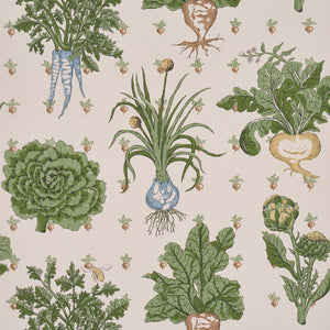 Schumacher - Green Grocer - Parchment - 5016781 - Wallpaper