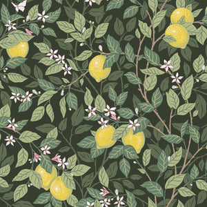 Schumacher - CitrontrAD - Green - 5701 - Wallpaper