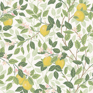 Schumacher - CitrontrAD - Ivory And Leaf - 5702 - Wallpaper